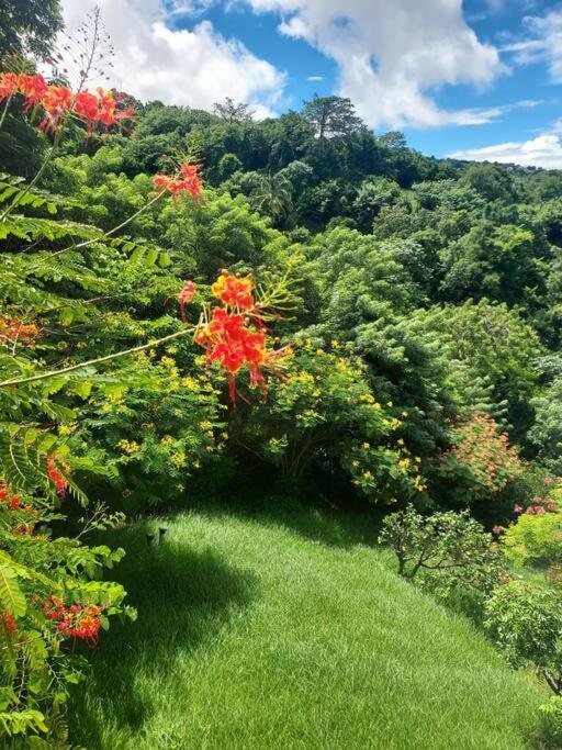 Grand Studio En Bas De Villa Avec Vue Sur Mer Au Carbet ル・カルベ エクステリア 写真