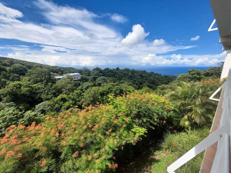 Grand Studio En Bas De Villa Avec Vue Sur Mer Au Carbet ル・カルベ エクステリア 写真